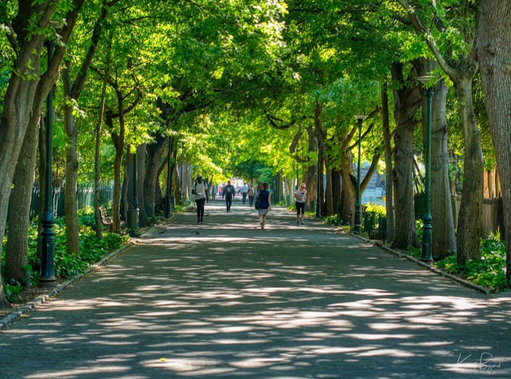The Company’s Garden. Cape Town, South Africa